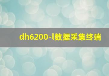 dh6200-l数据采集终端