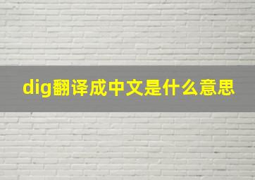 dig翻译成中文是什么意思