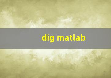 dig matlab