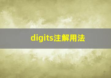 digits注解用法