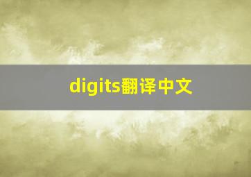 digits翻译中文