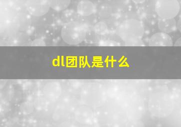 dl团队是什么