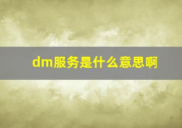 dm服务是什么意思啊