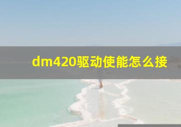 dm420驱动使能怎么接