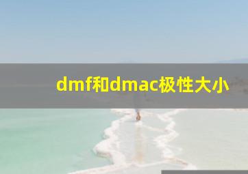 dmf和dmac极性大小