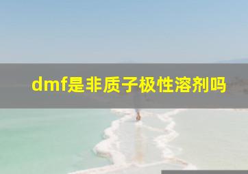 dmf是非质子极性溶剂吗