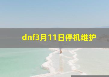 dnf3月11日停机维护