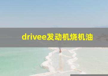 drivee发动机烧机油