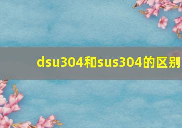 dsu304和sus304的区别