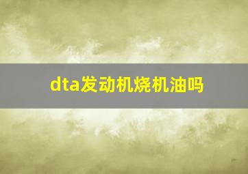 dta发动机烧机油吗