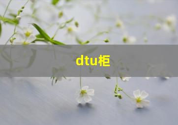 dtu柜