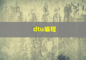 dtu编程