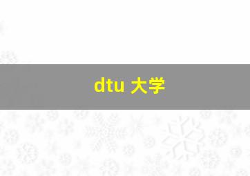 dtu 大学