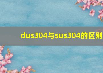 dus304与sus304的区别