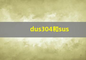 dus304和sus