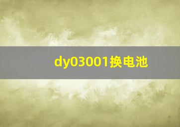 dy03001换电池