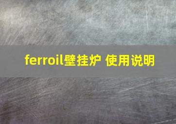 ferroil壁挂炉 使用说明