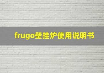 frugo壁挂炉使用说明书