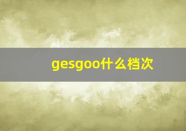 gesgoo什么档次