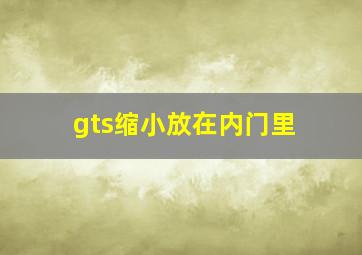 gts缩小放在内门里