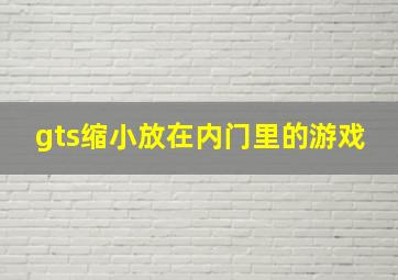 gts缩小放在内门里的游戏