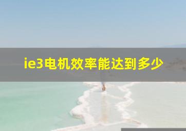 ie3电机效率能达到多少