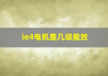 ie4电机是几级能效