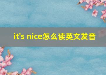 it's nice怎么读英文发音