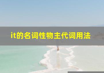 it的名词性物主代词用法