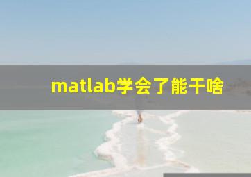 matlab学会了能干啥