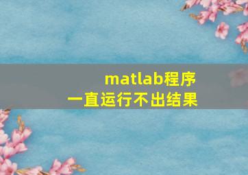 matlab程序一直运行不出结果