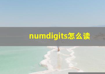 numdigits怎么读