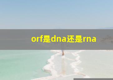 orf是dna还是rna