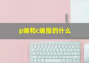 p端和c端指的什么