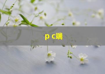 p c端