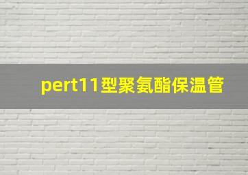 pert11型聚氨酯保温管