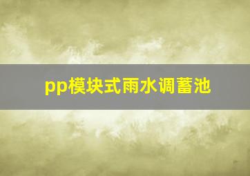 pp模块式雨水调蓄池