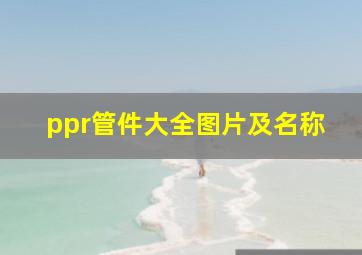 ppr管件大全图片及名称