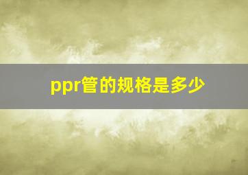 ppr管的规格是多少