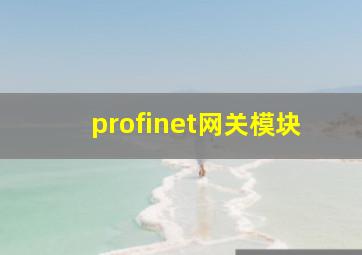 profinet网关模块