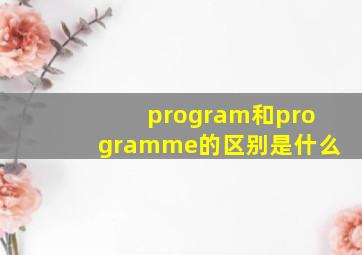 program和programme的区别是什么