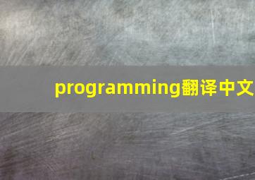 programming翻译中文