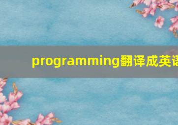 programming翻译成英语