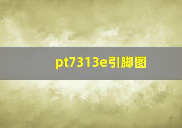 pt7313e引脚图