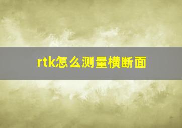 rtk怎么测量横断面