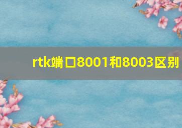 rtk端口8001和8003区别