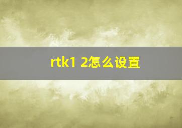 rtk1+2怎么设置