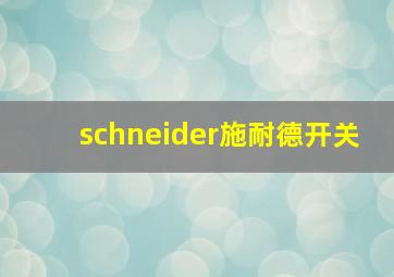 schneider施耐德开关