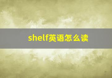 shelf英语怎么读