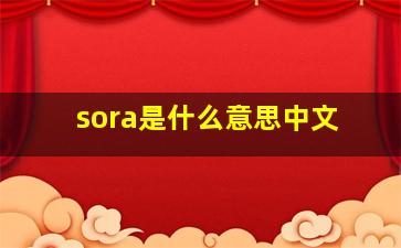 sora是什么意思中文